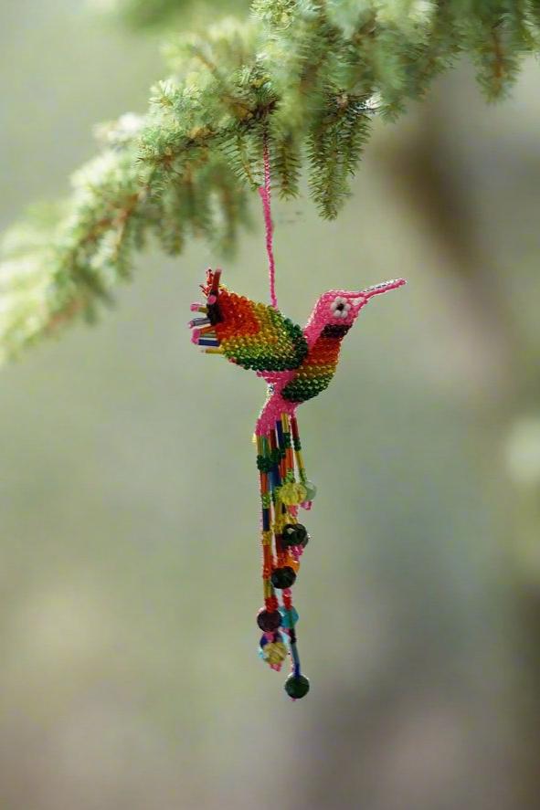 Humming Birds