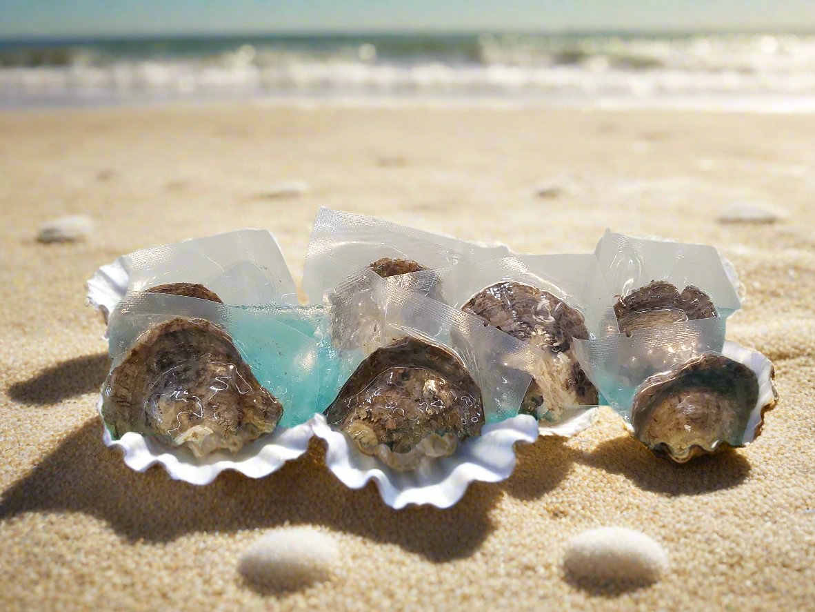 Oyster with Pearl
