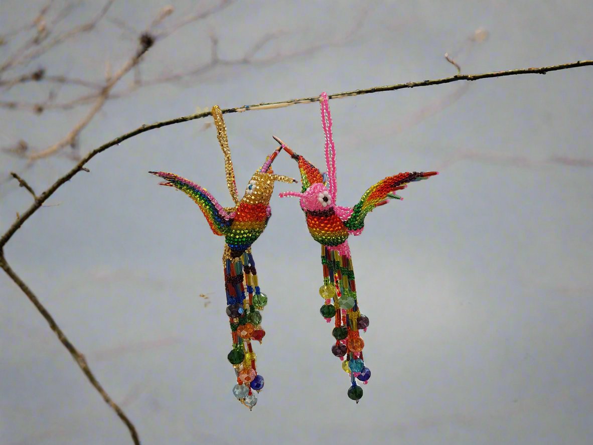 Humming Birds