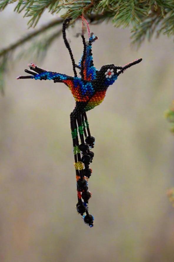 Humming Birds