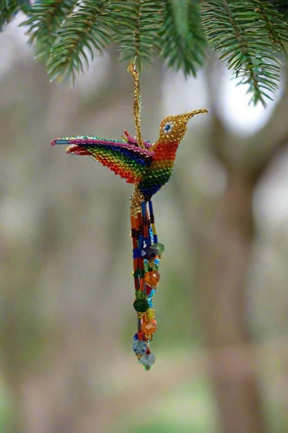Humming Birds