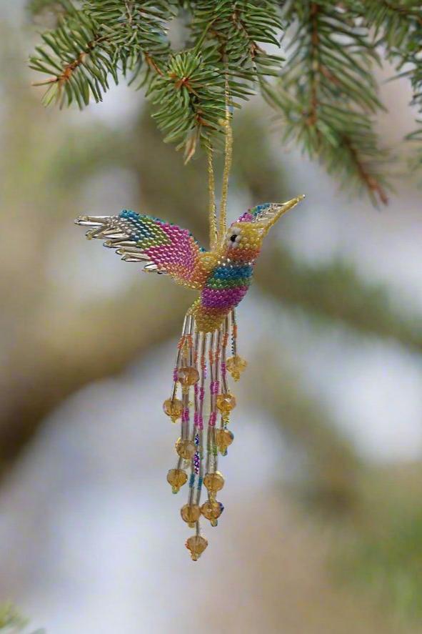 Humming Birds