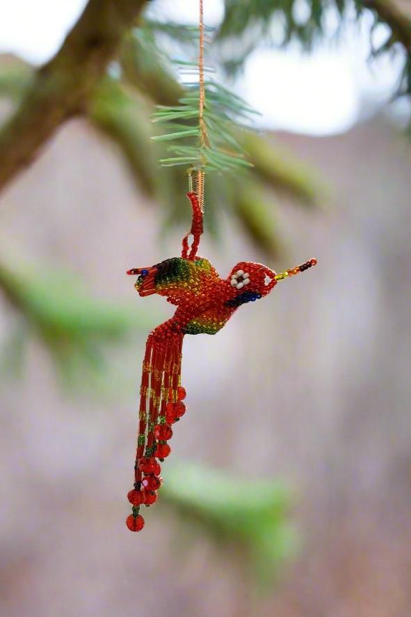 Humming Birds
